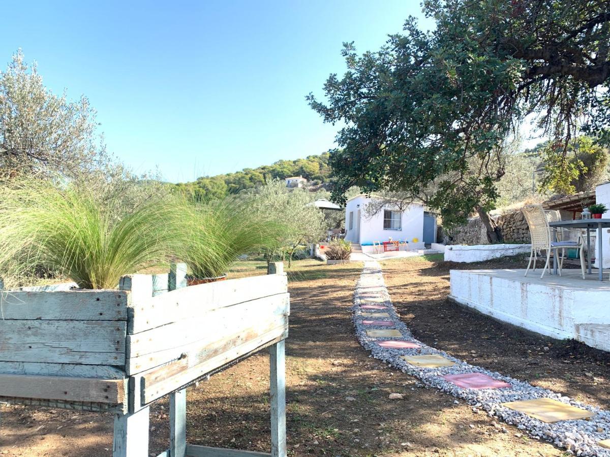 Вилла Olive Hill Private House Порос Экстерьер фото